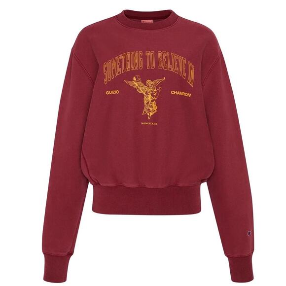 Danielle Guizio Champion Reverse Weave Crewneck Sweatshirt - Picture 2 of 7